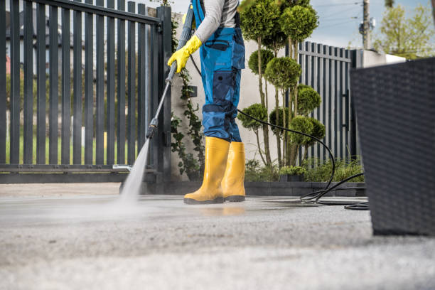 Boat and Dock Cleaning in Little Falls, MN